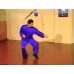 CHOY LI FUT KUNG FU SET 1-8 - GRANDMASTER DOC FAI WONG