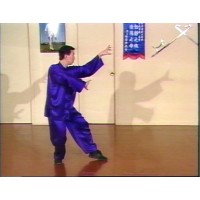 CHOY LI FUT KUNG FU 2 - KONG CHOW SMALL CROSS FORM - GRANDMASTER DOC FAI WONG