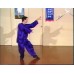 CHOY LI FUT KUNG FU SET 1-8 - GRANDMASTER DOC FAI WONG