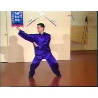 CHOY LI FUT KUNG FU 3 - HUNG SING LONG FIST FORM - GRANDMASTER DOC FAI WONG