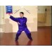 CHOY LI FUT KUNG FU SET 1-8 - GRANDMASTER DOC FAI WONG