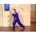 CHOY LI FUT KUNG FU SET 1-8 - GRANDMASTER DOC FAI WONG