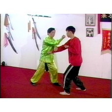 DRAGON STYLE KUNG FU 1 - BASICS, BEGINNER'S FORMS, HAND & LEG TECHNIQUES - MASTER YIP WING HONG