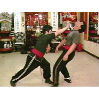 HUNG GA KUNG FU 1 - POWER TRAINING & STANCES - GRANDMASTER FRANK YEE