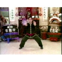 HUNG GA KUNG FU 2 - GUNG JI FUK FU KUEN & FIGHTING THEORY - GRANDMASTER FRANK YEE