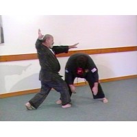 KENPO 4 - KENPO HAND CONNECTIONS - PROFESSOR NICK CERIO