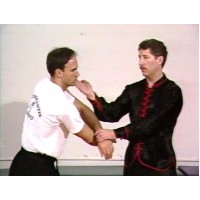 SEVEN STAR PRAYING MANTIS KUNG FU 05 - ADVANCED PRAYING MANTIS TECHNIQUES - MASTER JON FUNK