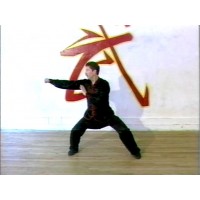 SEVEN STAR PRAYING MANTIS KUNG FU 09 -  TONG LONG TSUUD DUNG  (Praying Mantis exits the Cave) - MASTER JON FUNK