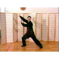 SEVEN STAR PRAYING MANTIS KUNG FU 10 -  LAW HON GUNG  (Praying Mantis Chi Kung) - MASTER JON FUNK