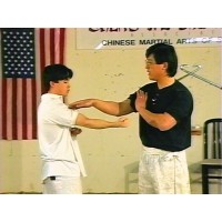 SNAKE STYLE KUNG FU 1 - TRAINING AND BEGINNER FORMS - JO-SI RONDIE CHEN