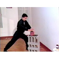TIGER CLAW KUNG FU 4 - TIGER CLAW REAL IRON PALM TRAINING - MASTER TAK WAH ENG