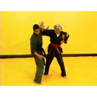 VEE-ARNIS-JITSU 1 - INTRODUCTION - PROFESSOR VISITATION & SHIHAN DAVID JAMES