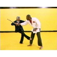 VEE-ARNIS-JITSU 4 - STICK CONCEPTS B - PROFESSOR VISITATION & SHIHAN DAVID JAMES