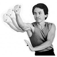 WING CHUN KUNG FU set 1-8 - SIFU CHUNG KWOK CHOW