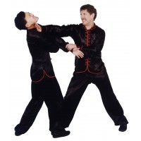 SEVEN STAR PRAYING MANTIS KUNG FU set 1-6 - BEGINNER'S TO INTERMEDIATE SET - MASTER JON FUNK