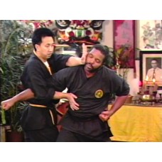 TIGER CLAW KUNG FU 5 - THE MOVES OF THE TIGER - MASTER TAK WAH ENG